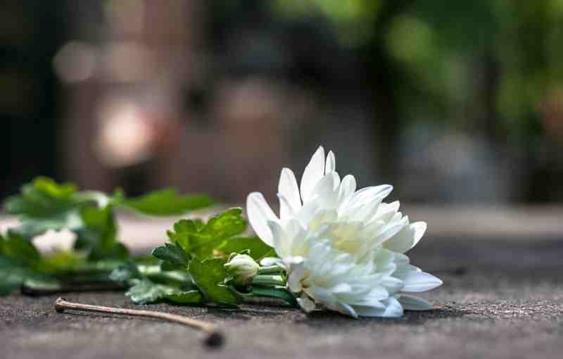 flowers-on-a-catholic-tomb